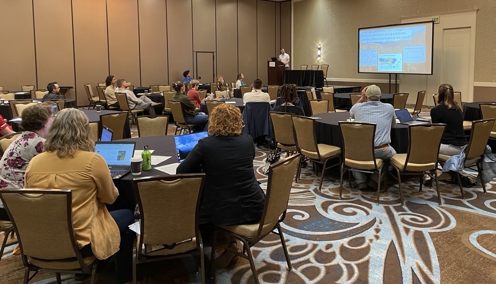 People sit at tables in a hotel ballroom watching a presentation at the front of the room