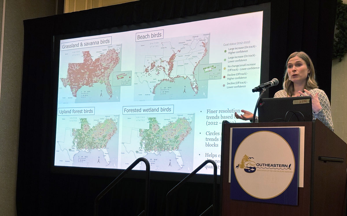 Picture of a Hilary standing at a podium giving a presentation next to a slide showing new indicators in the 2024 SECAS goal report