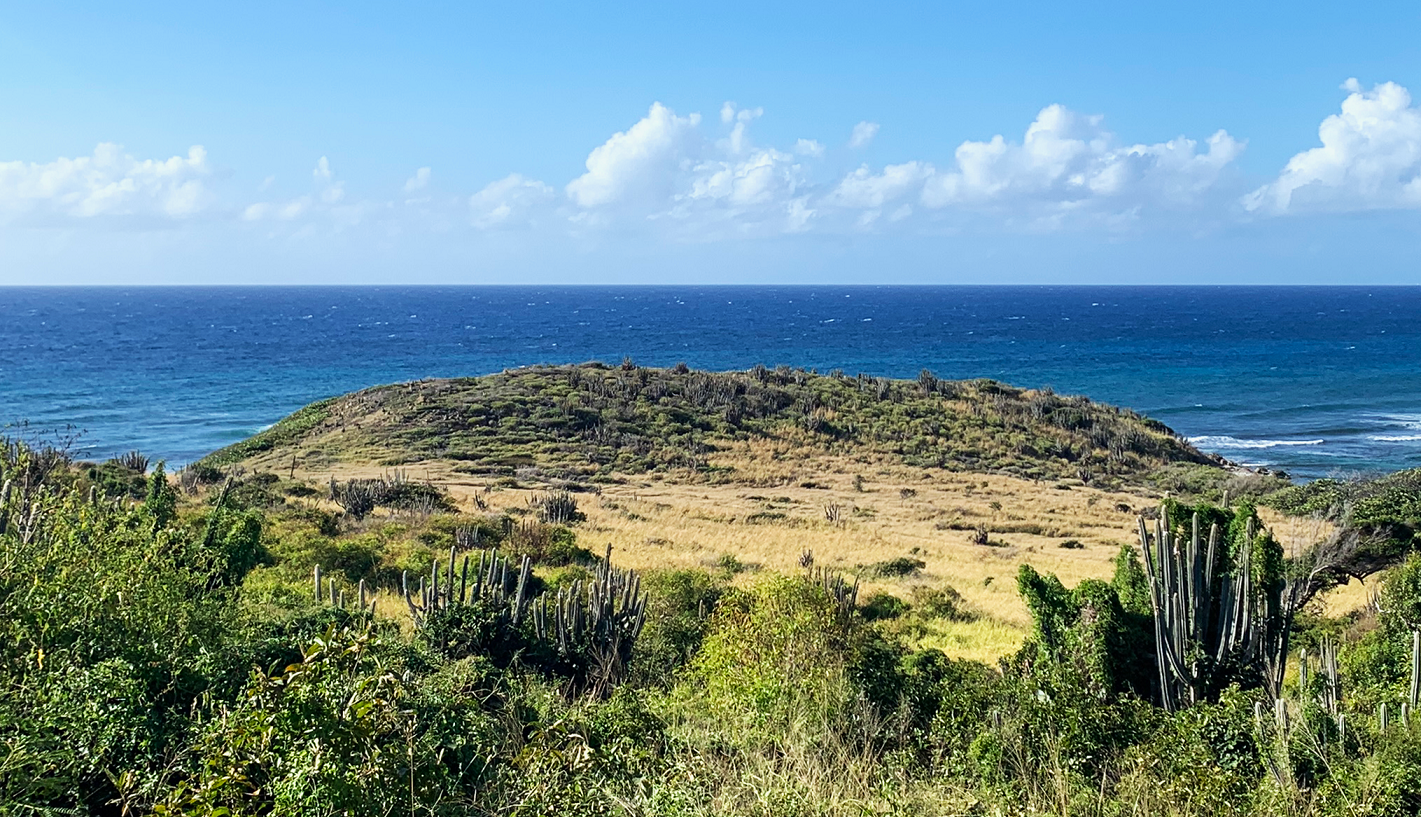 Shoreline with scrubby vegetation in the foreground against a dark blue ocean and cloudy sky.