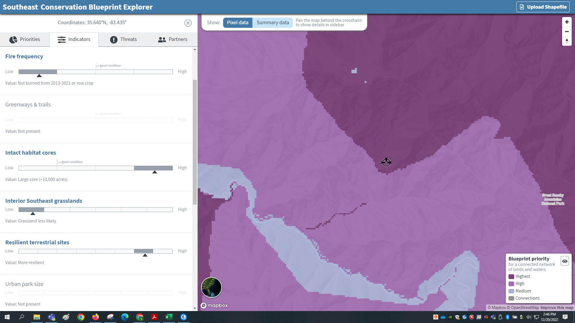 Screenshot of the Blueprint Explorer viewer in pixel mode, showing a zoomed in map in shades of purple and a sidebar of indicator information.