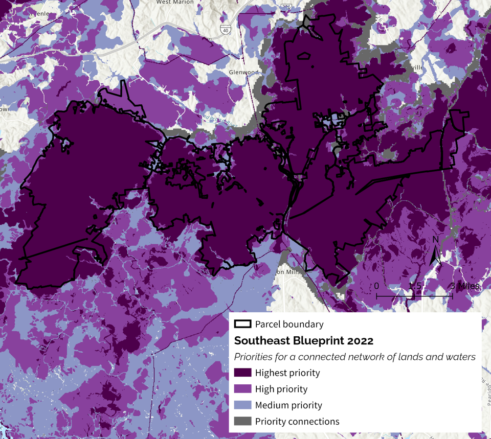 A map depicting priority areas to achieve the SECAS vision of a connected network of lands and waters.