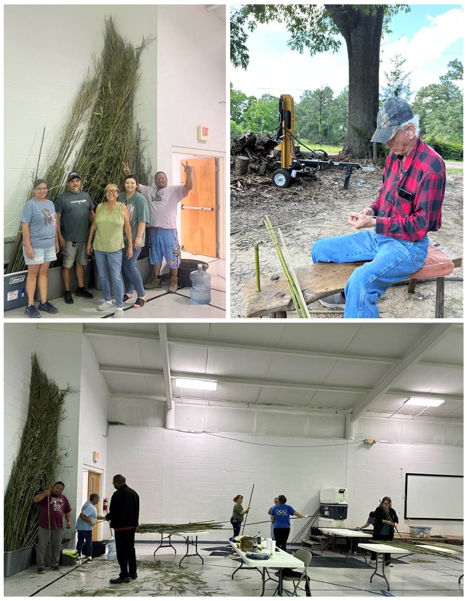 Collage of photos of people processing rivercane.