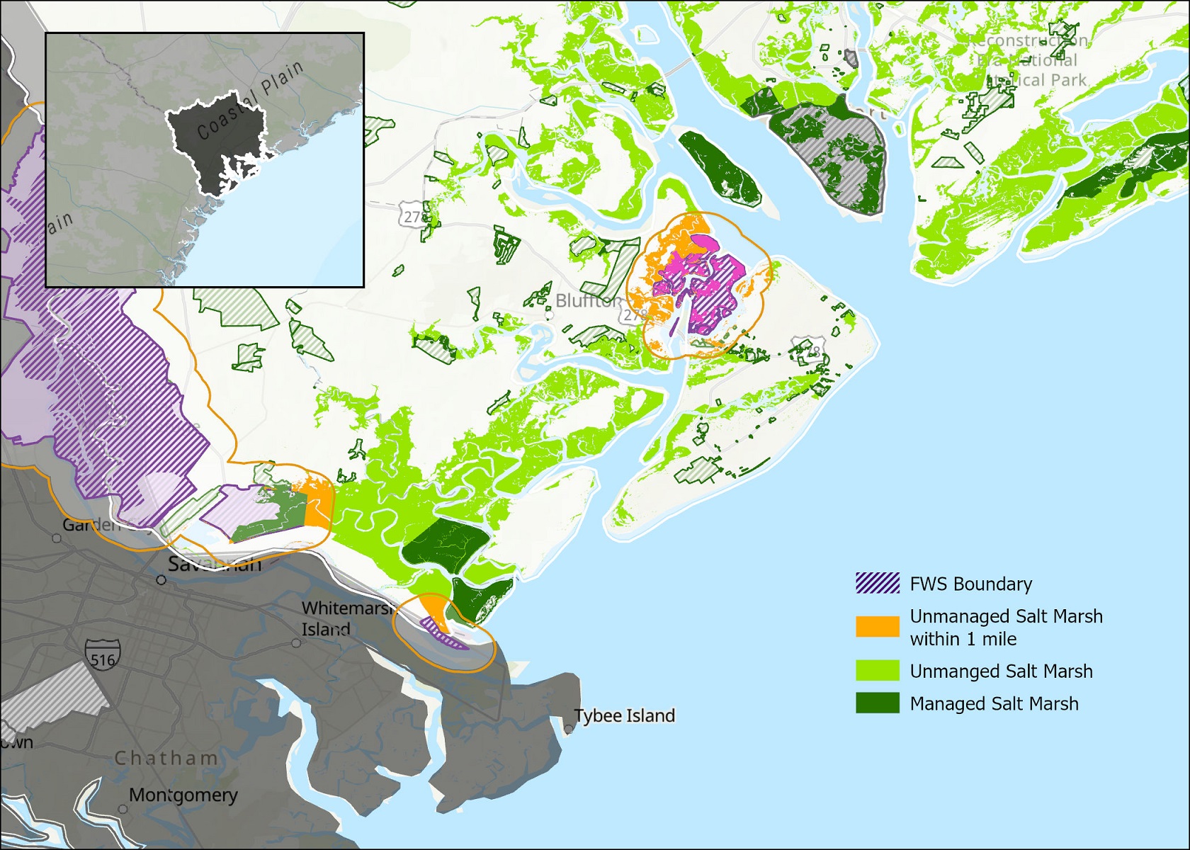 Map of the salt marsh within U.S. FWS Refuge boundaries