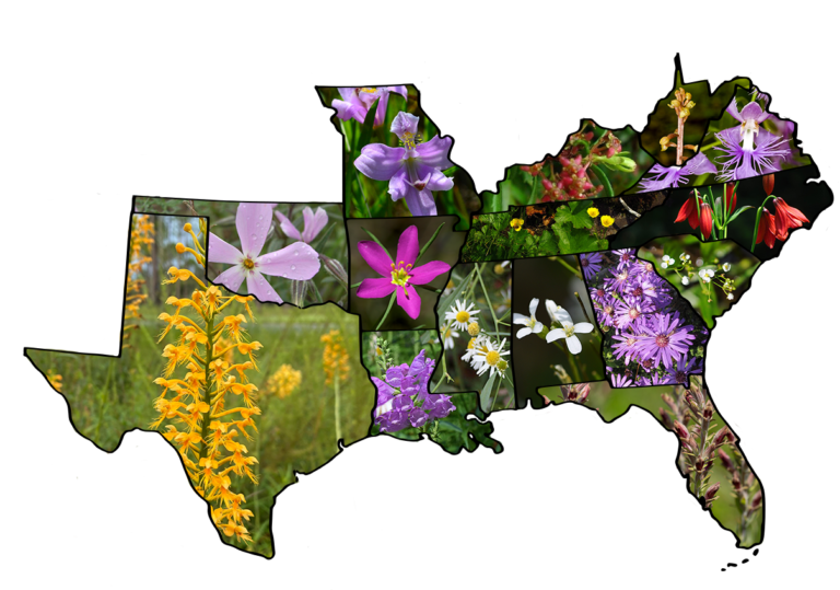 Map of all SEAFWA states with a representative flower within each state's lines.