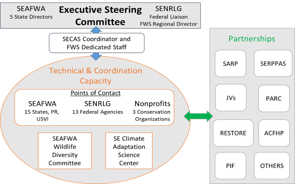 Flow chart depicting the SECAS organizational structure.