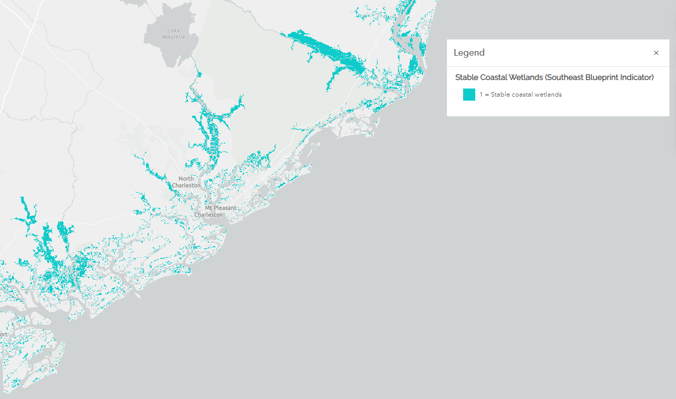 A map with a gray basemap showing turquoise pixels of stable coastal wetlands along the coast of SC.