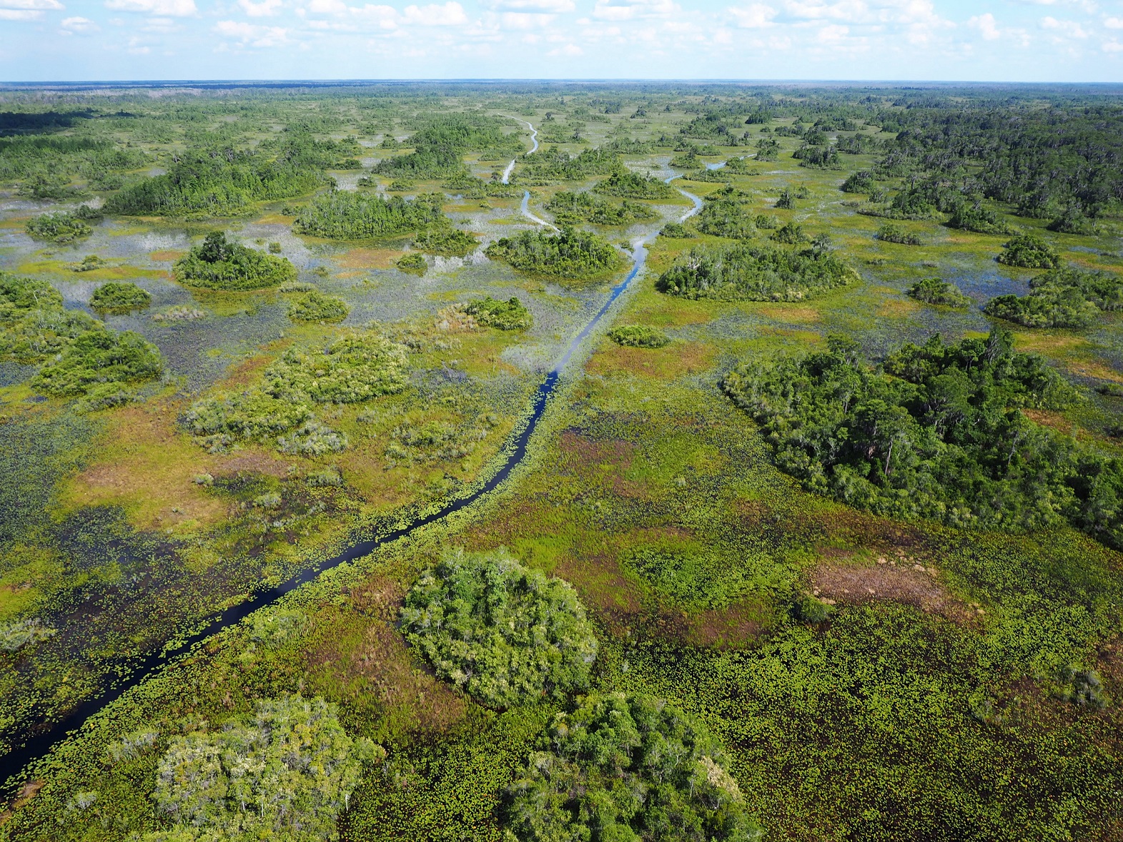 Water trail at Okefenokee National Wildlife Refuge.