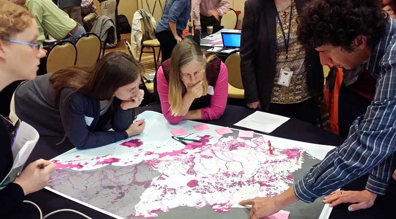 A group of conservation professionals investigating a map