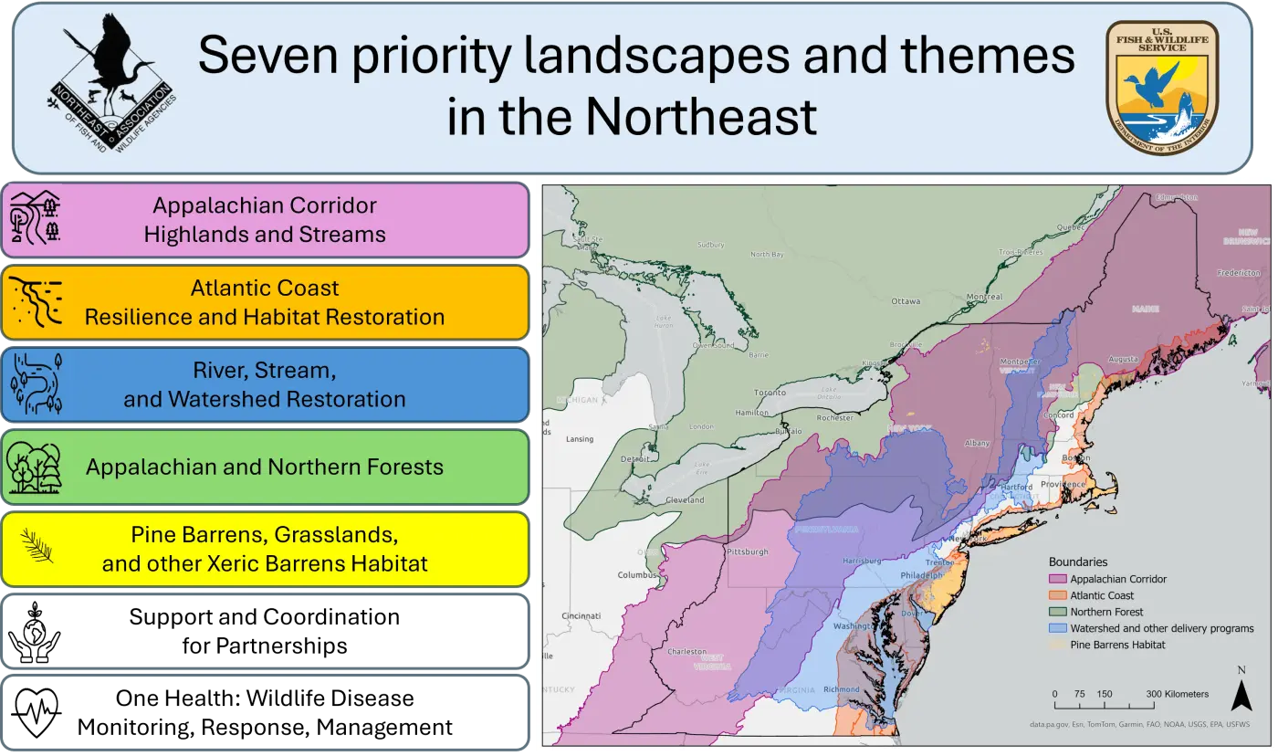 Focal Landscapes graphic