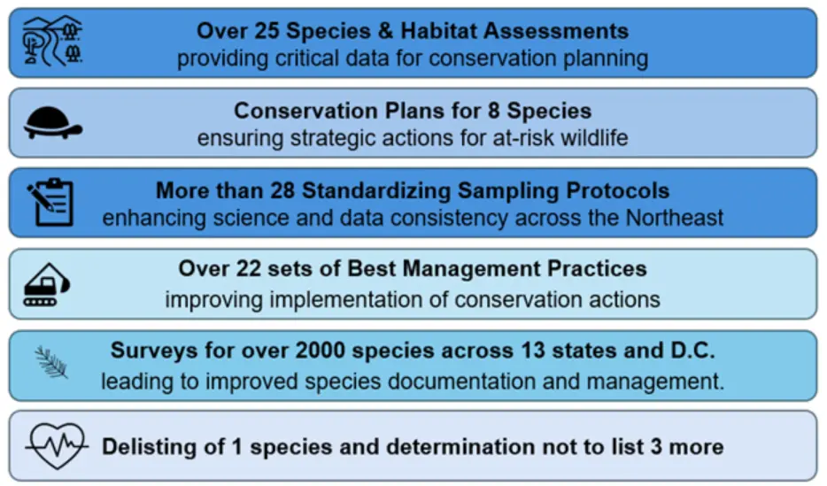 Key Outcomes graphic