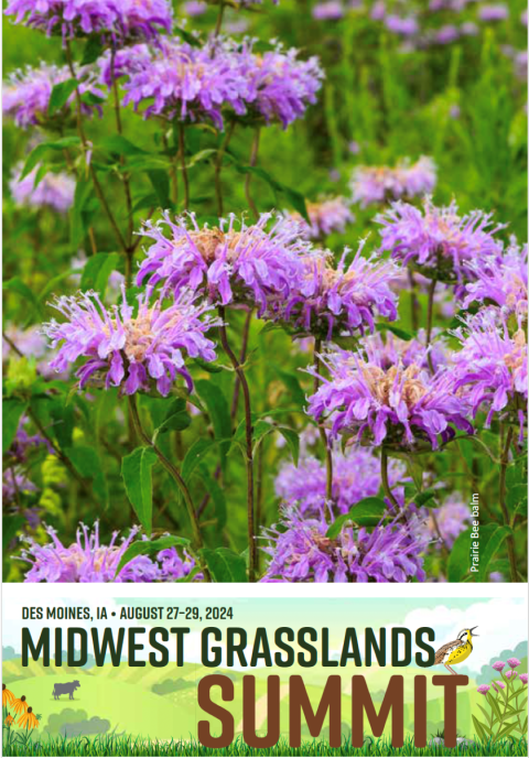 A poster promoting the Midwest Grasslands summit in Des Moines, IA, which was held August 27-29, 2024.