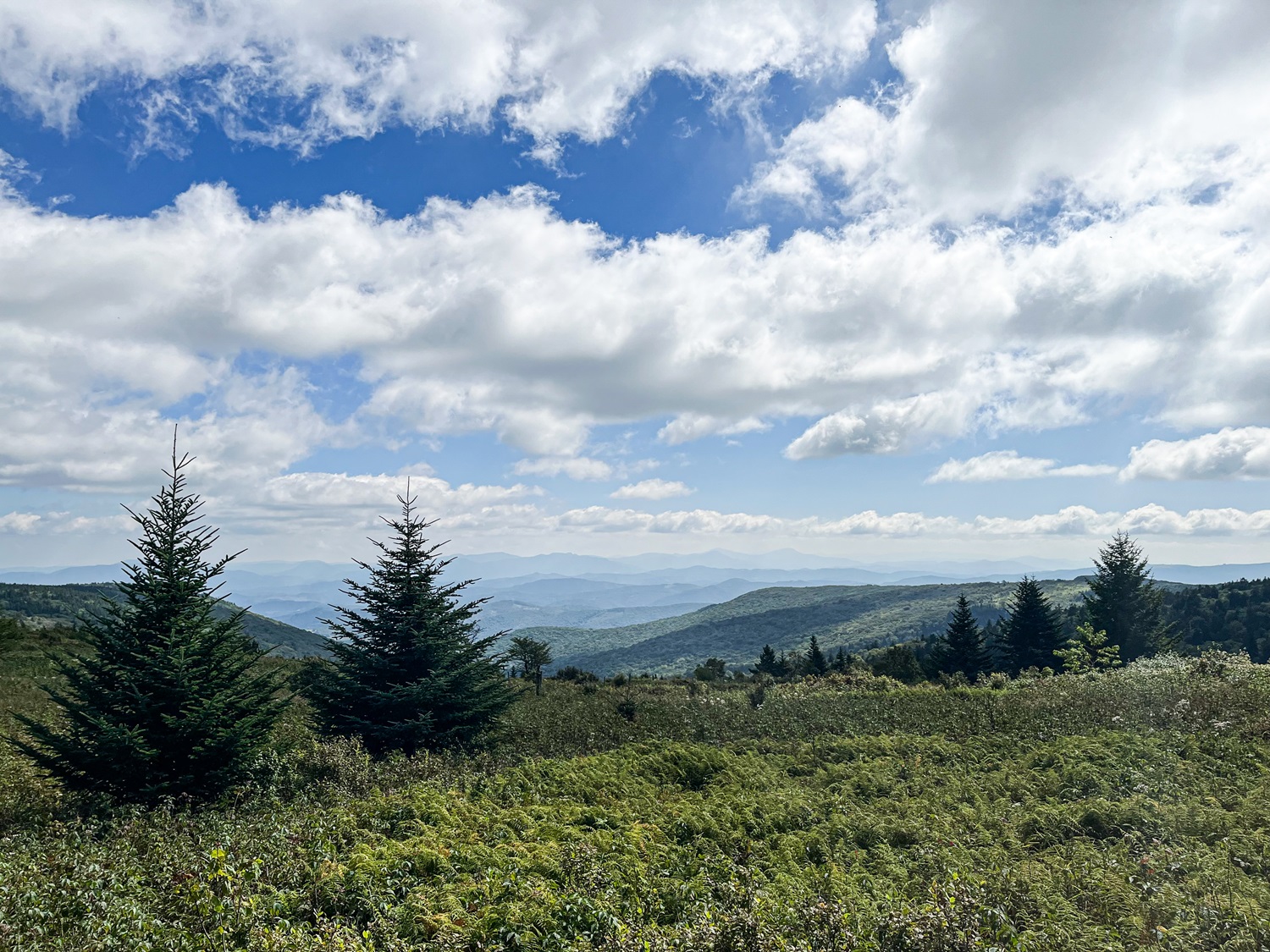 Rolling mountains with conifer trees and a partly cloudy sky.