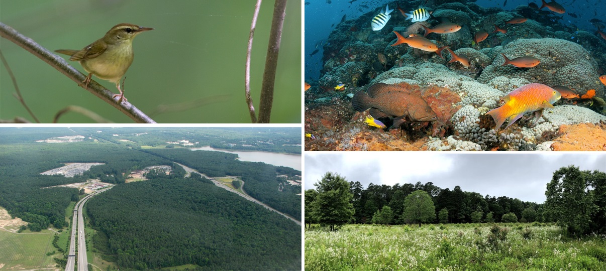 Mosaic of photos representing the four indicators. The top left is of a small bird perched on a branch; the top right is a coral reef with colorful fish, the bottom right is a meadow with trees in the background, and the bottom left is an aerial photo of a forest and field bisected by a road.