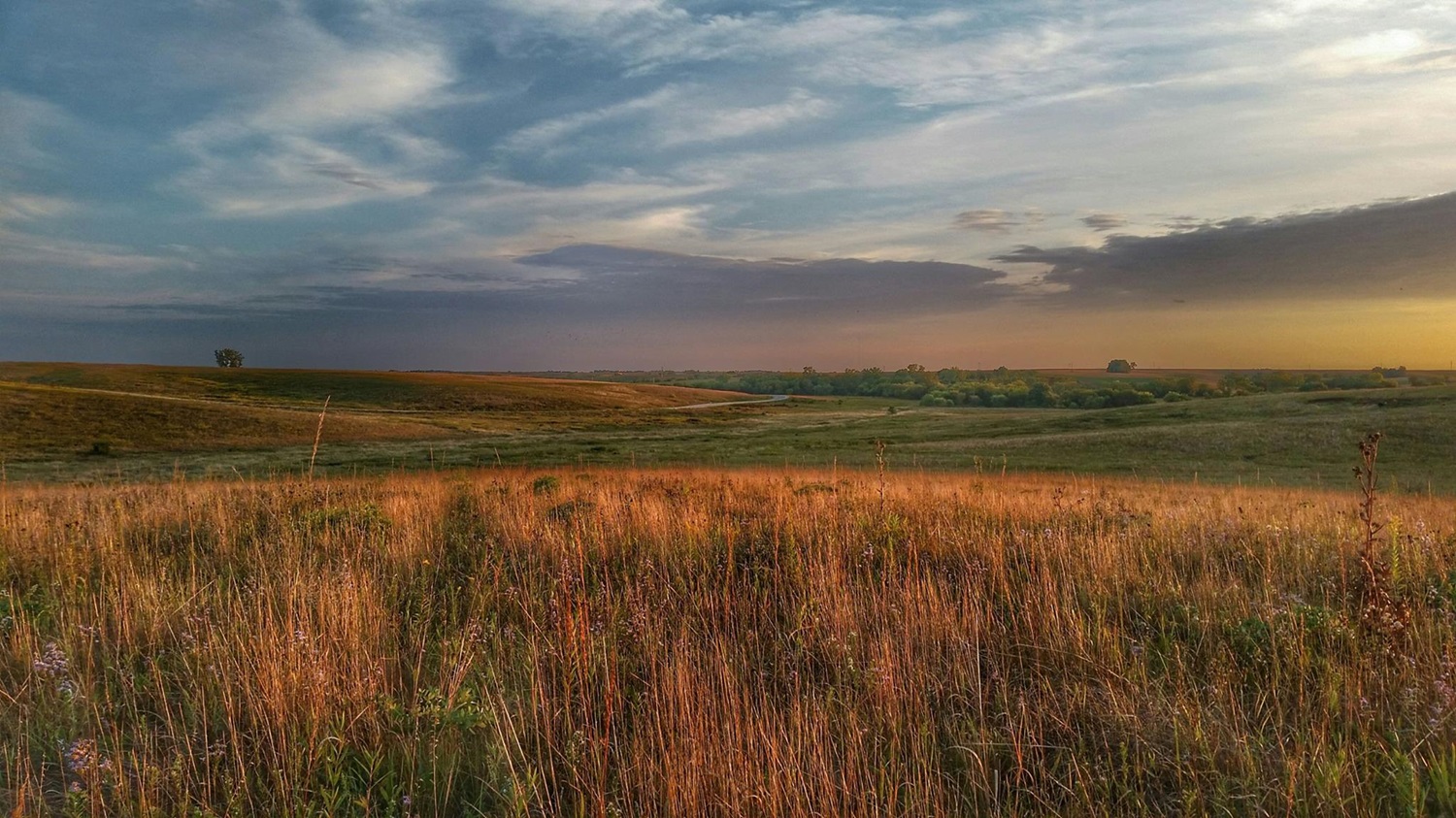 Photo of a prairie at sunset.