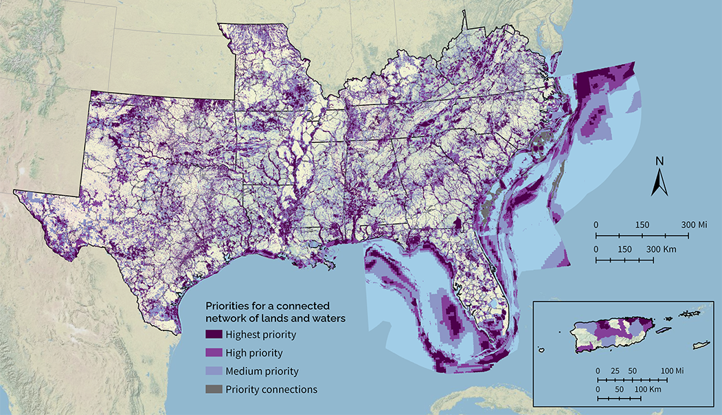A map depicting key priority areas for achieving the SECAS vision of a connected network of lands and waters. Priority areas are shown in shades of purple and gray. Darkest purple represents highest priority, middle purple high priority, and lightest purple medium priority. Gray represents priority connections between the purple areas.