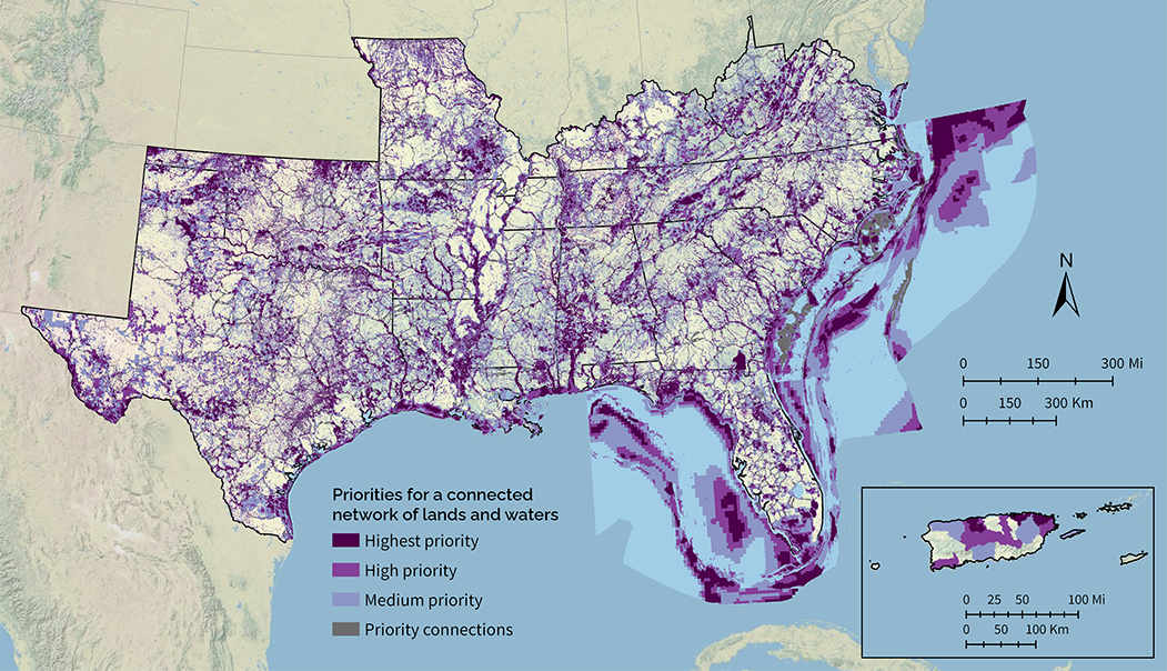 Map of Southeast Blueprint 2022 showing a connected network of lands and waters in shades of purple and gray.