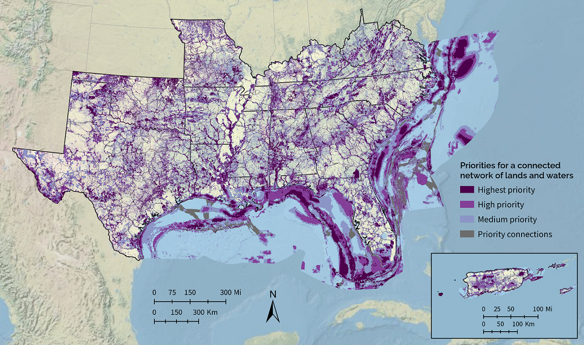 A map depicting key priority areas for achieving the SECAS vision of a connected network of lands and waters. Priority areas are shown in shades of purple and gray. Darkest purple represents highest priority, middle purple high priority, and lightest purple medium priority. Gray represents priority connections between the purple areas.