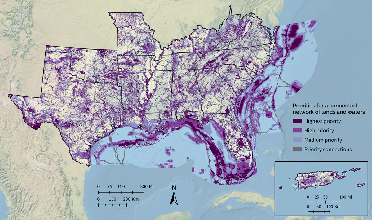 A map depicting key priority areas for achieving the SECAS vision of a connected network of lands and waters. Priority areas are shown in shades of purple and gray. Darkest purple represents highest priority, middle purple high priority, and lightest purple medium priority. Gray represents priority connections between the purple areas.