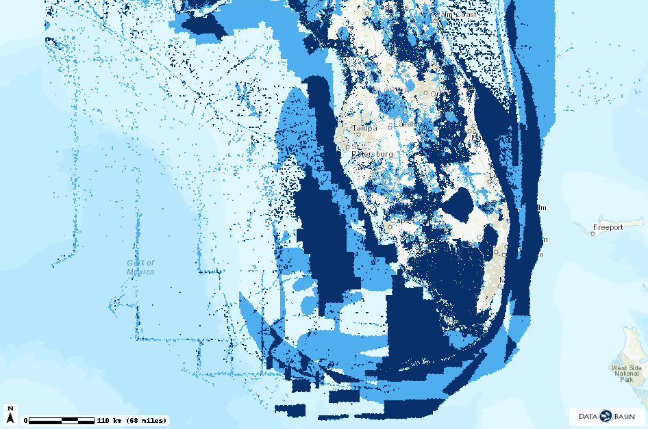 Zoom into new marine priorities around Florida.