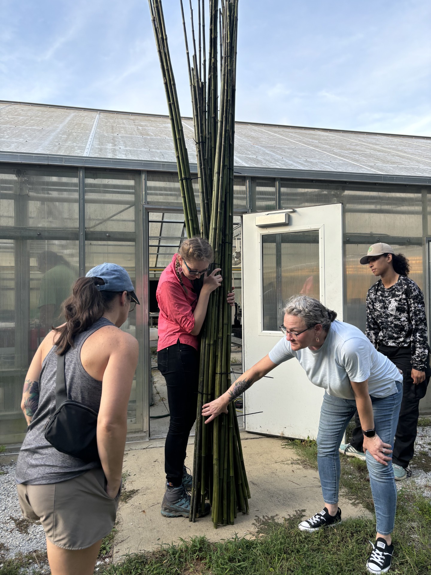 Sevral women stand around bundle of tall rivercane stems and inspect it.